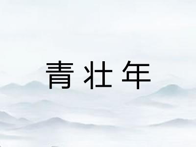 青壮年