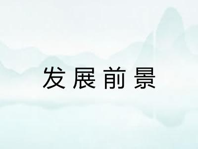 发展前景