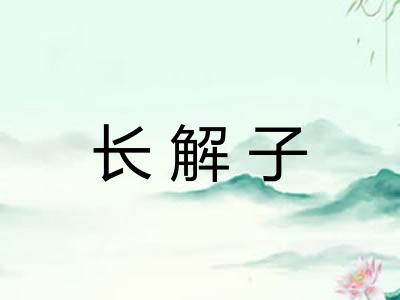 长解子
