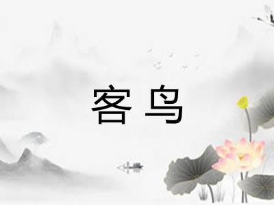 客鸟