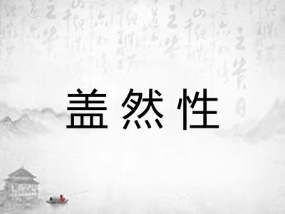盖然性