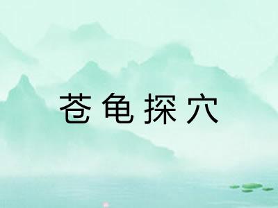 苍龟探穴