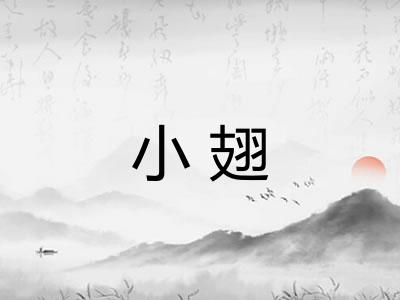 小翅