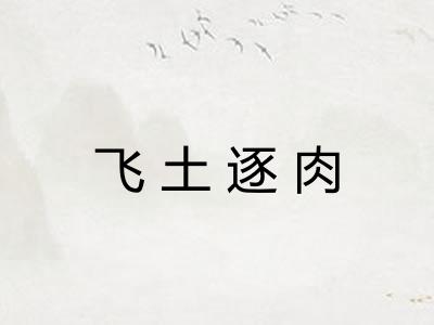 飞土逐肉