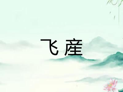 飞産