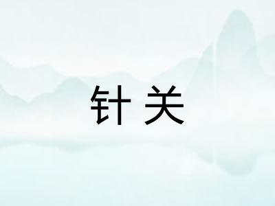 针关