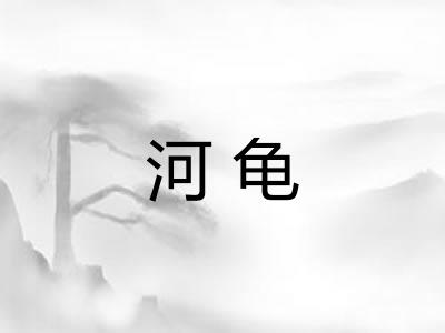 河龟