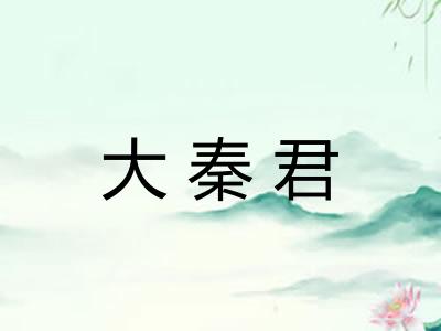 大秦君