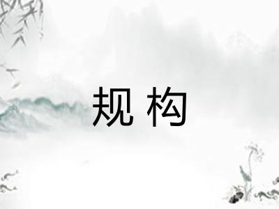 规构