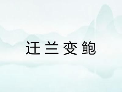 迁兰变鲍