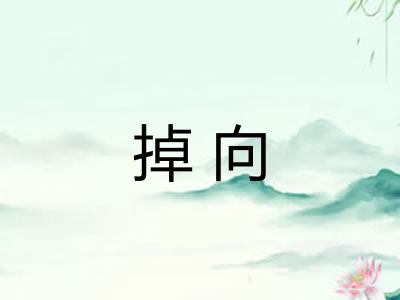 掉向