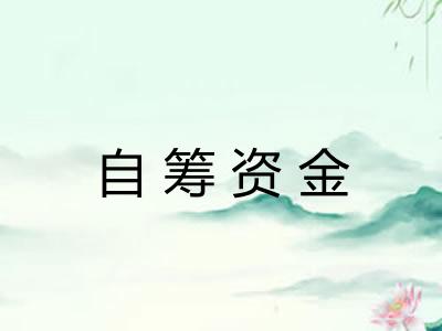 自筹资金