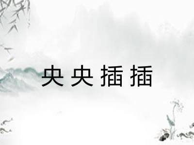 央央插插