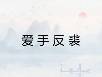 爱手反裘