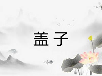 盖子