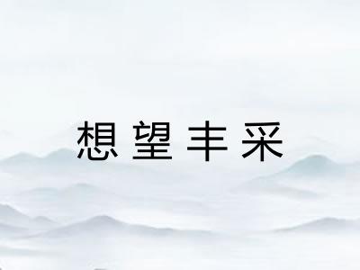 想望丰采