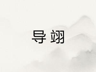 导翊