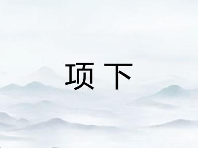 项下