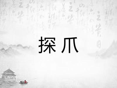 探爪