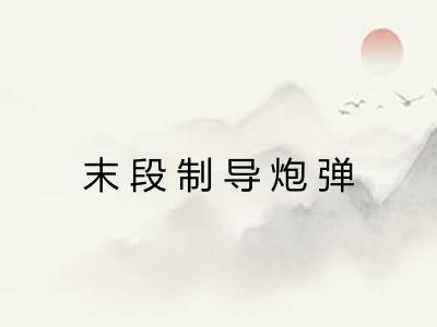 末段制导炮弹